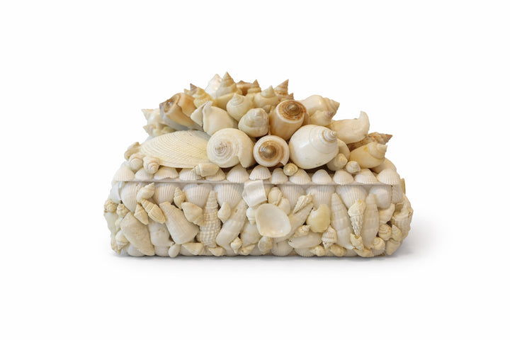 White Shell Box