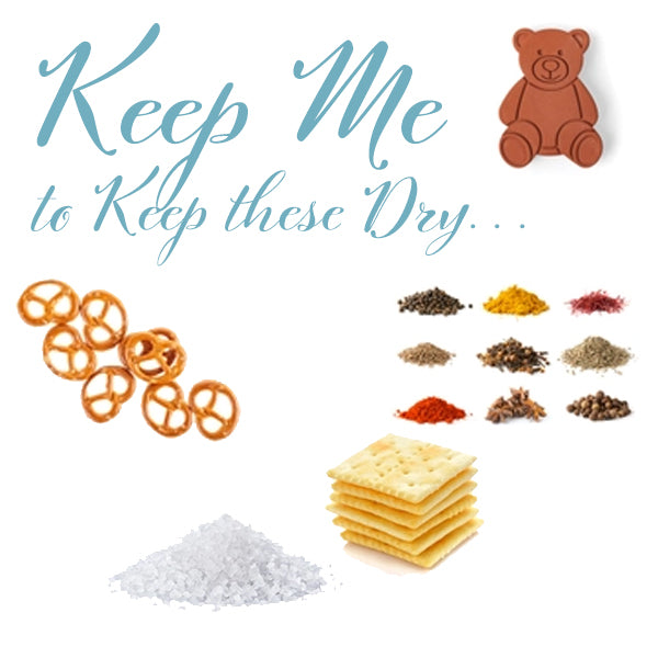 Terracotta Sugar Bear Keeper/Saver
