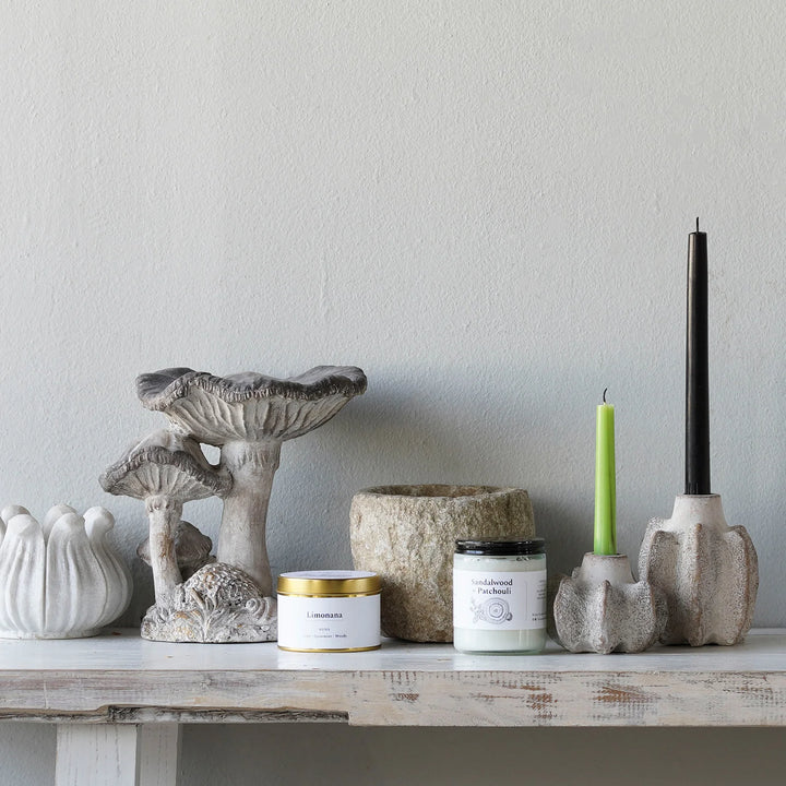 Concrete Mushroom Specimen