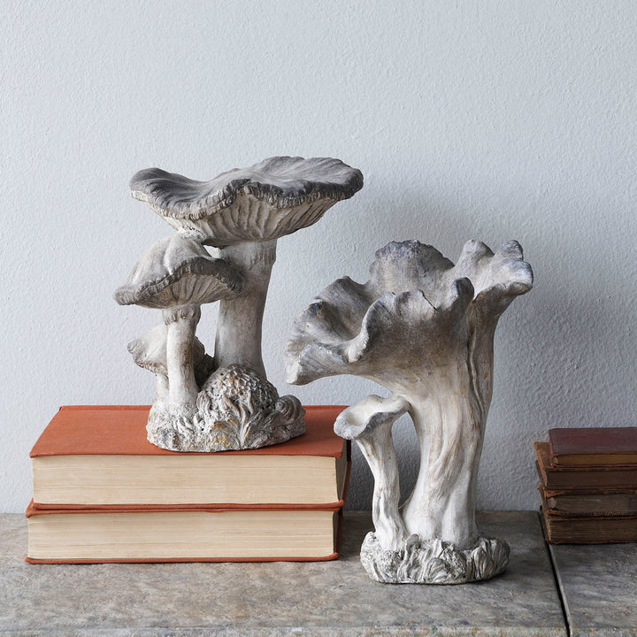 Concrete Mushroom Specimen