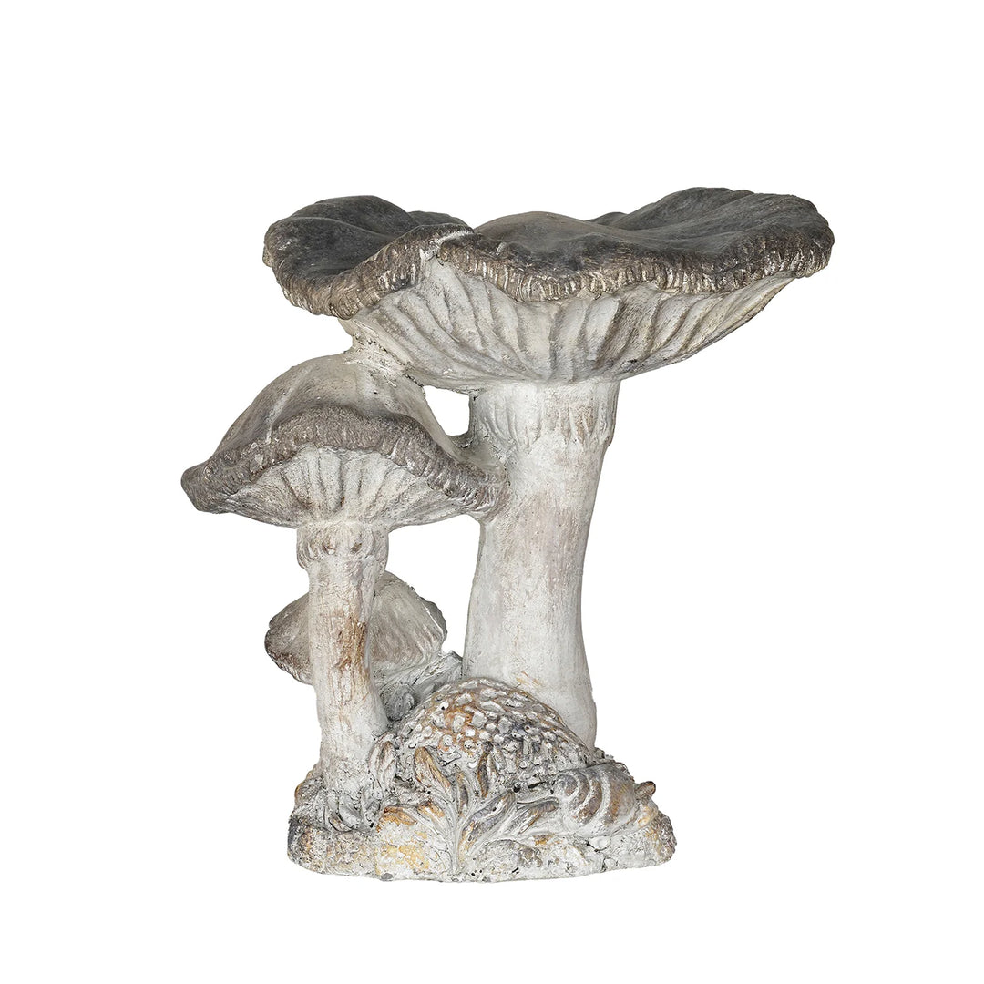 Concrete Mushroom Specimen