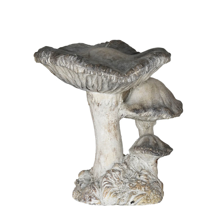 Concrete Mushroom Specimen