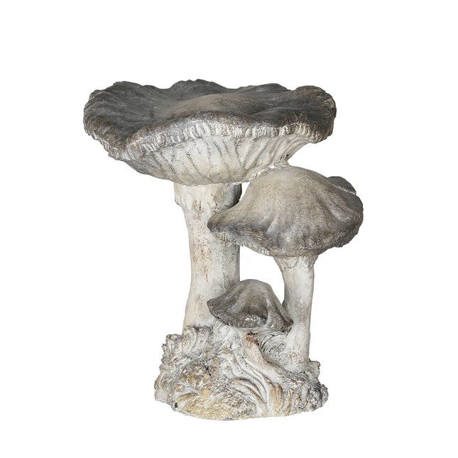 Concrete Mushroom Specimen