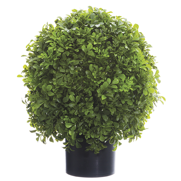 Boxwood Ball Topiary-16 inch