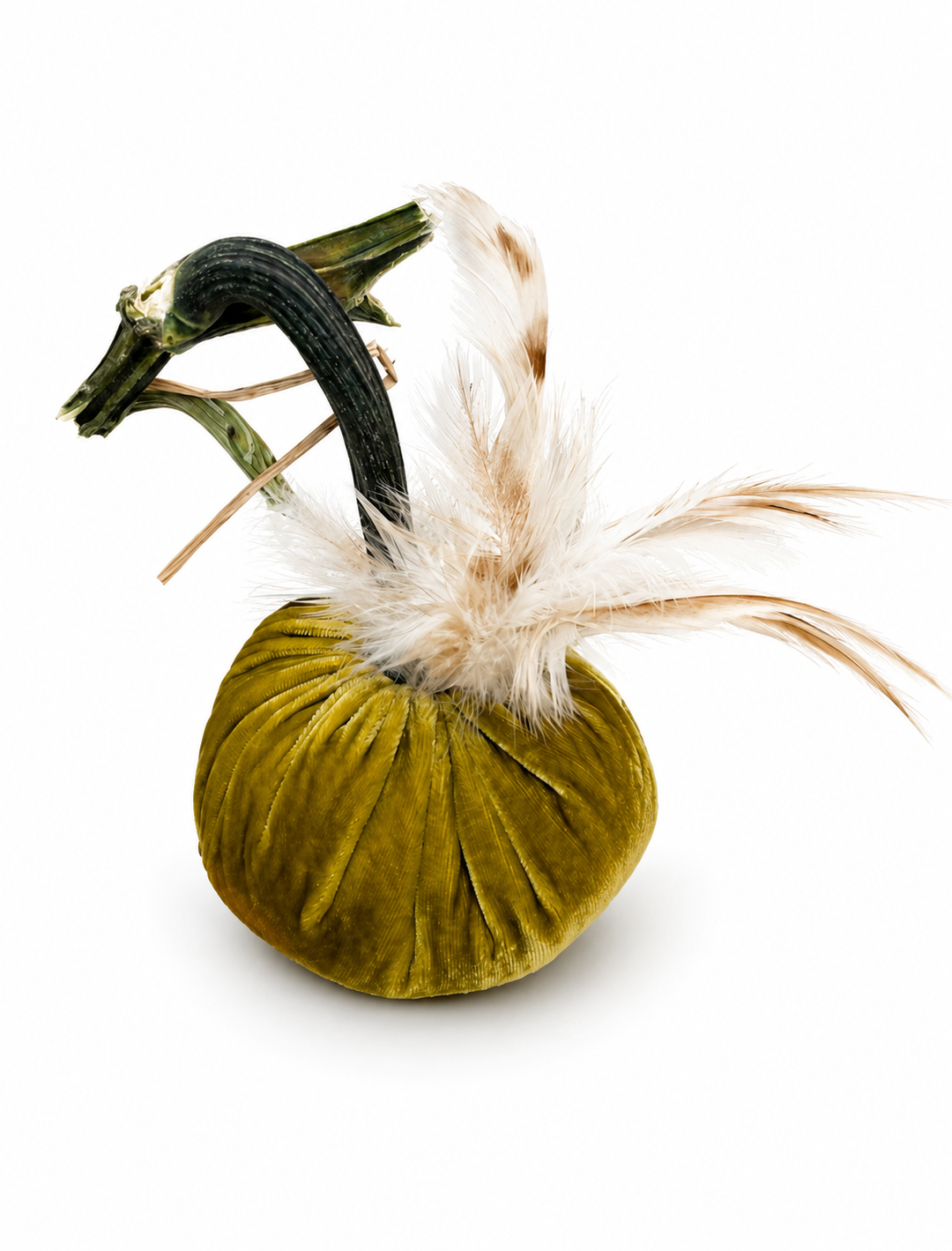 Velvet Pumpkin with Feather Collar