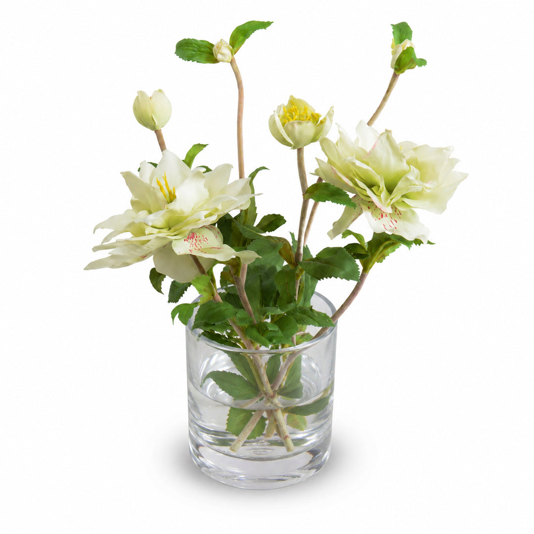 Cream Lenten Rose Arrangement