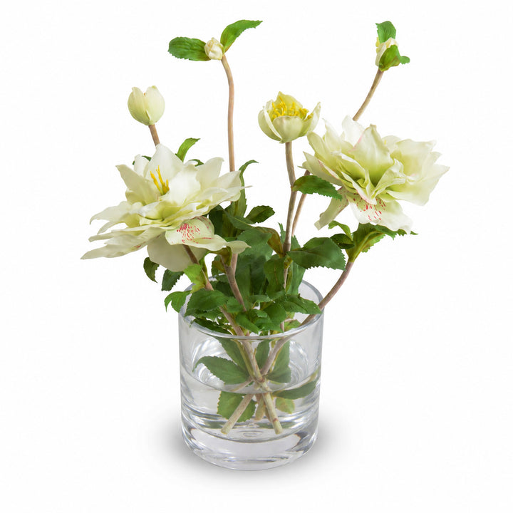 Cream Lenten Rose Arrangement