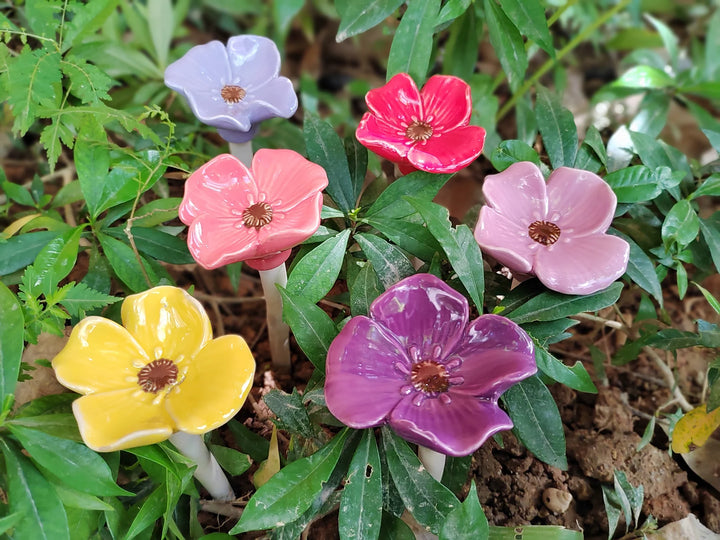 Peek-a-Boo Ceramic Garden Flowers