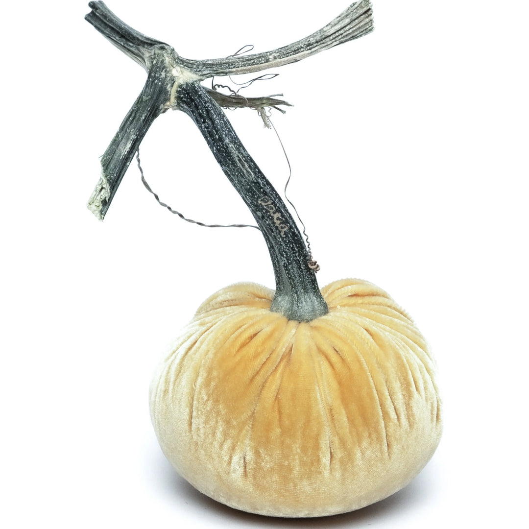 Silk Velvet Pumpkins