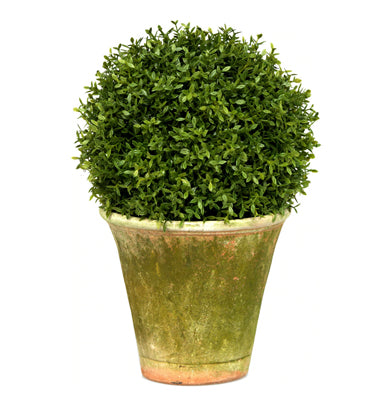 Mini Tea Leaf Topiary