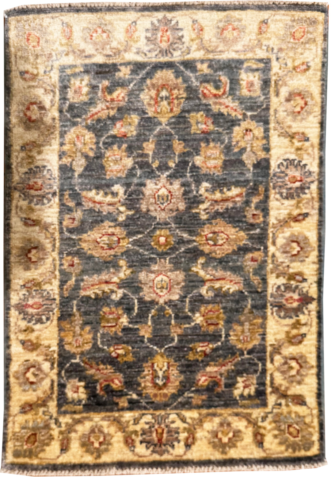 Oushak Rug 2x3