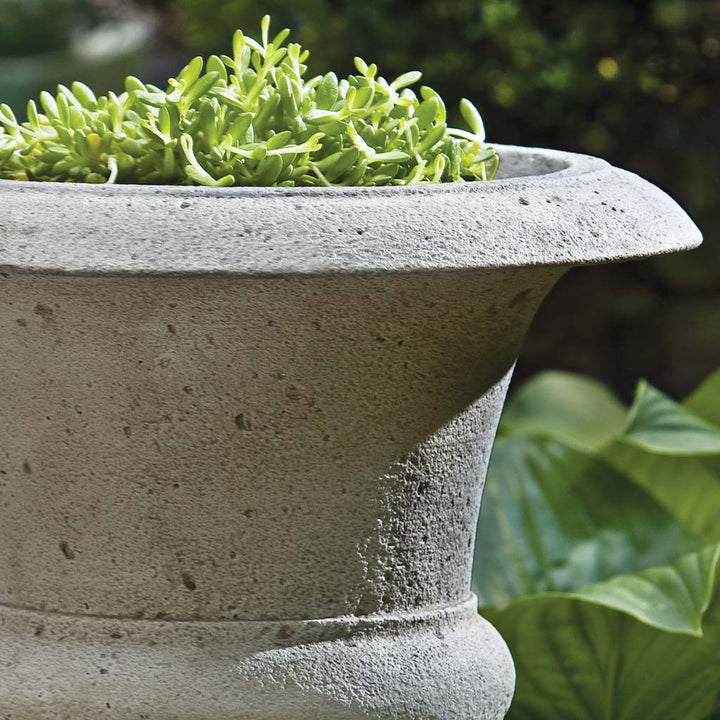 Toulouse Urn