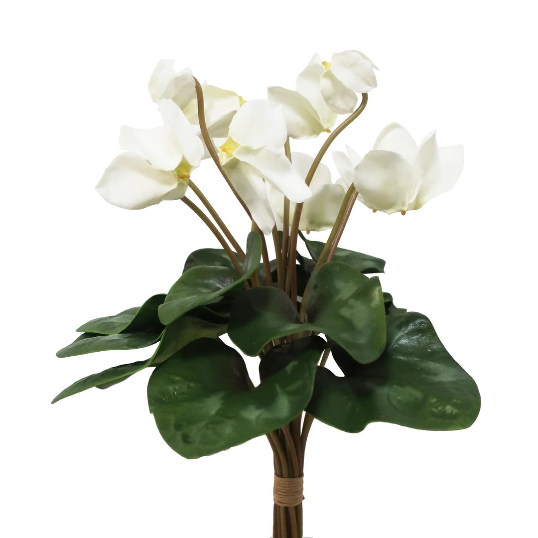 White Cyclamen Bouquet