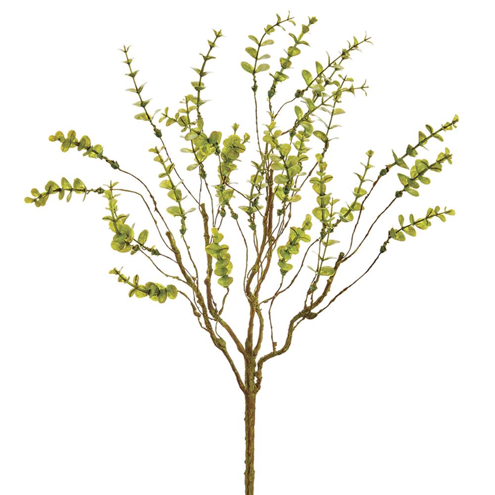 Mini Eucalyptus Branch