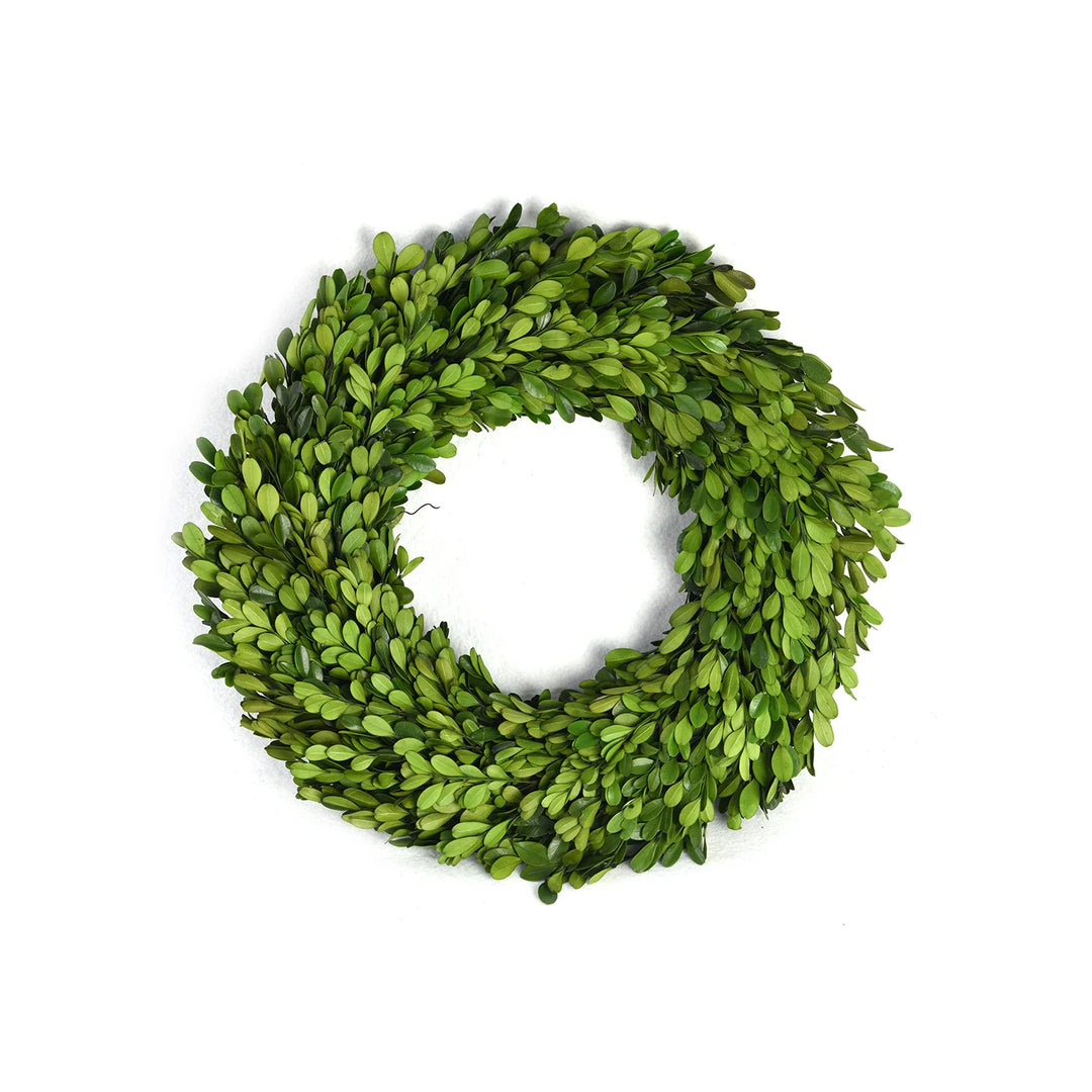Preserved Boxwood Wreath - 24"