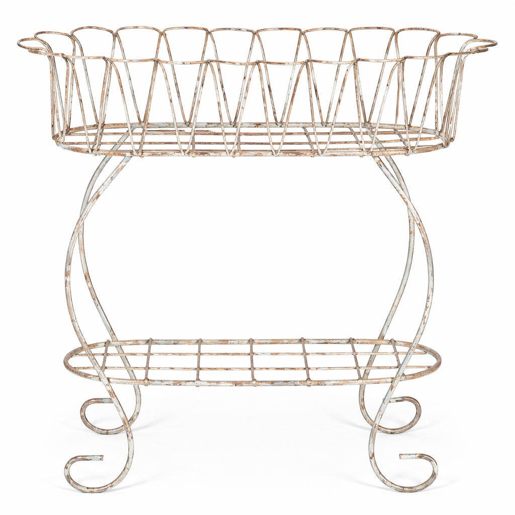 Scalloped Iron Fernery