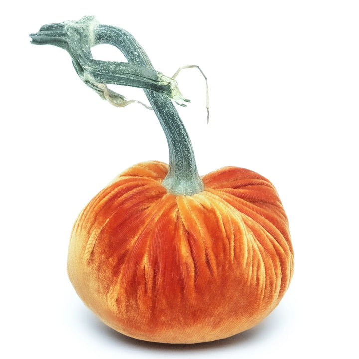 Silk Velvet Pumpkins