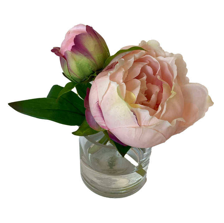 Peony in 3" Glass Vase – Pink or White