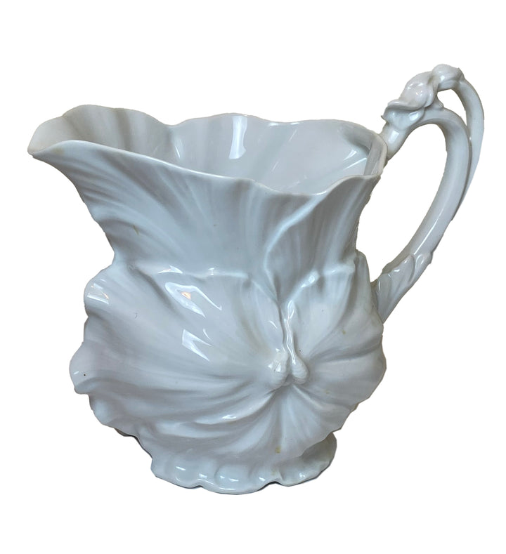 Tettau “Anemone” Porcelain Pitcher