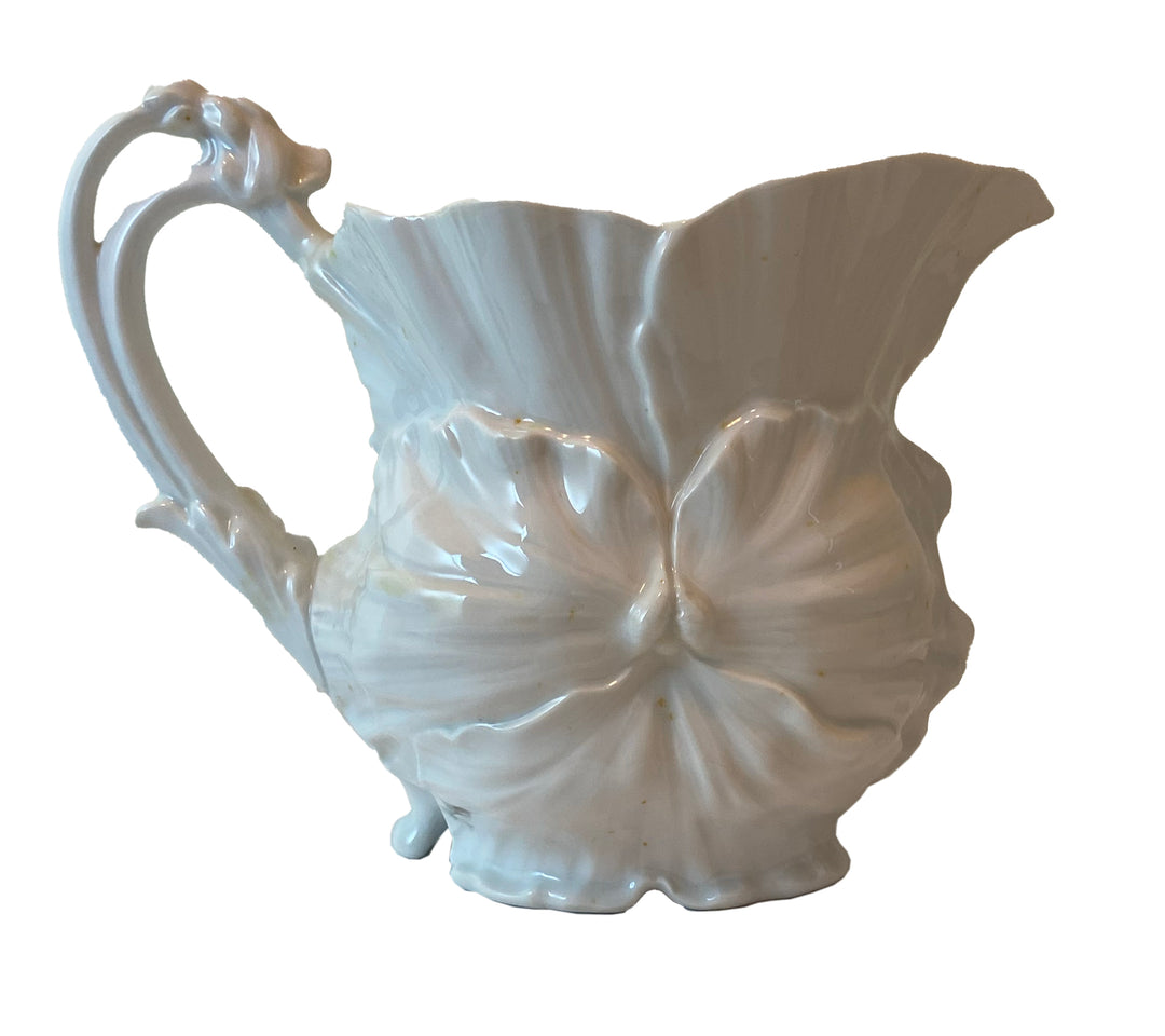 Tettau “Anemone” Porcelain Pitcher