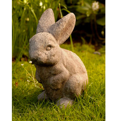 Rabbit with Ear's Up