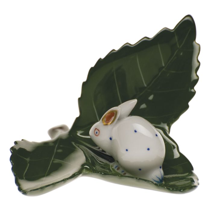 Rabbit on Leaf