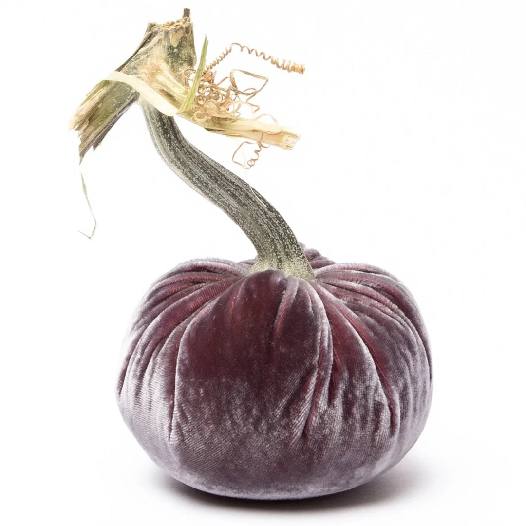 Silk Velvet Pumpkins