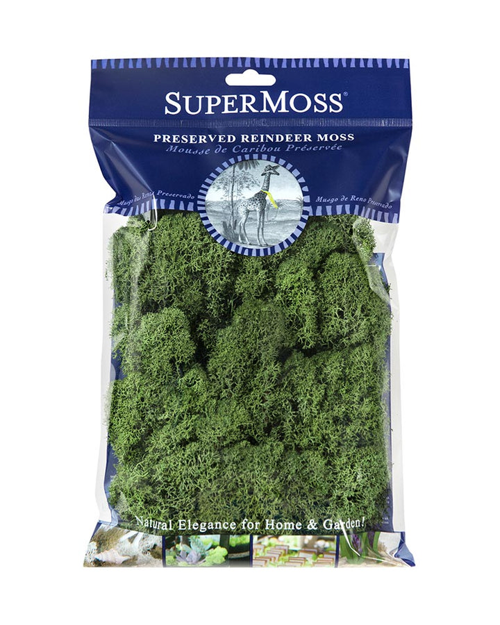 Reindeer Moss - 120 cu in