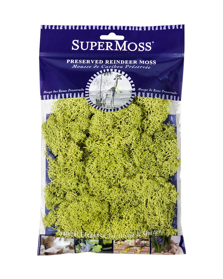 Reindeer Moss - 120 cu in