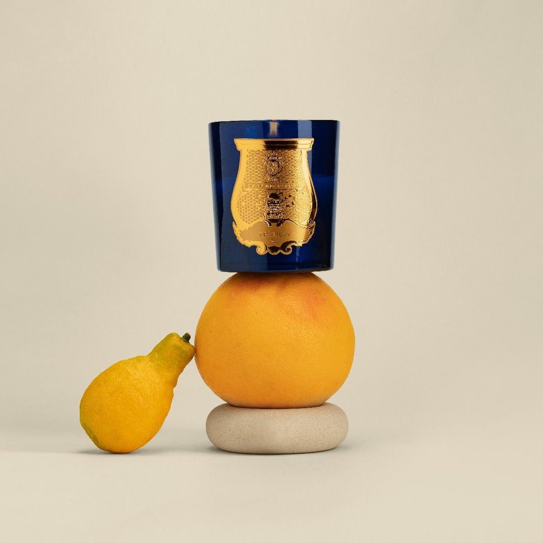 Cire Trudon Candle - "Classique"