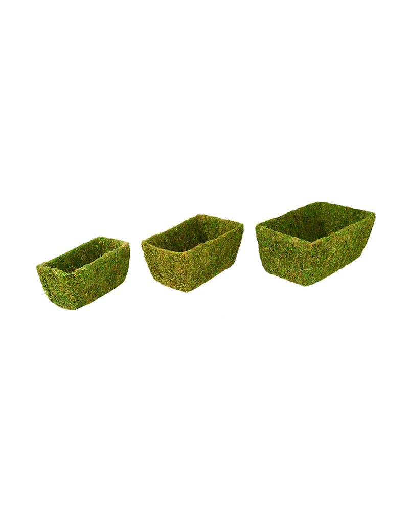 Moss Basket