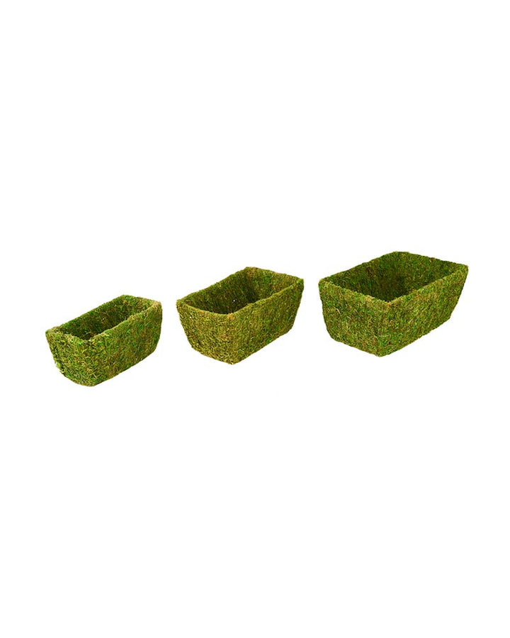 Moss Basket