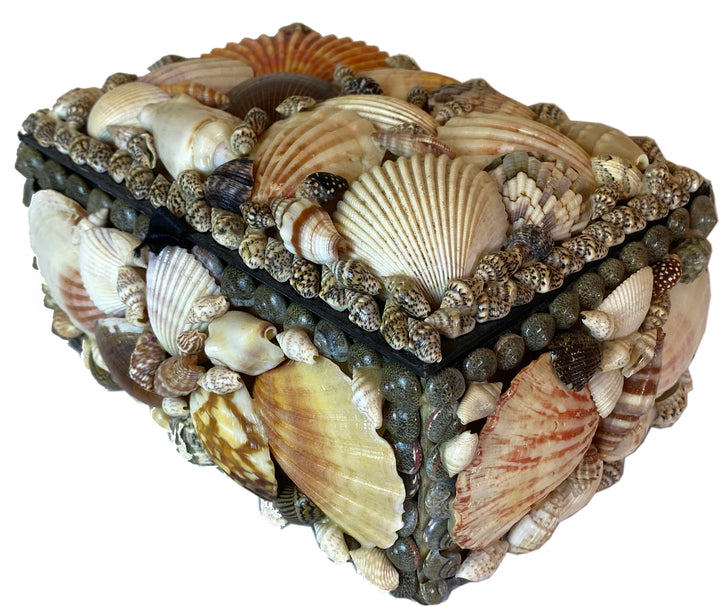 Vintage Shell Box