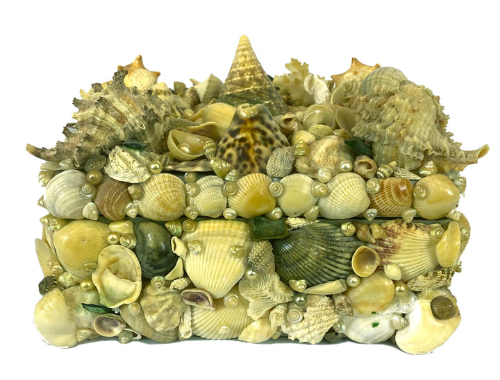 Vintage Seashell Box