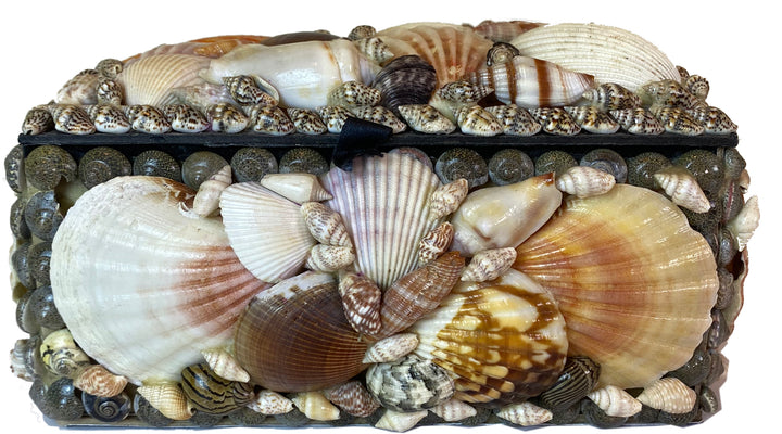 Vintage Shell Box