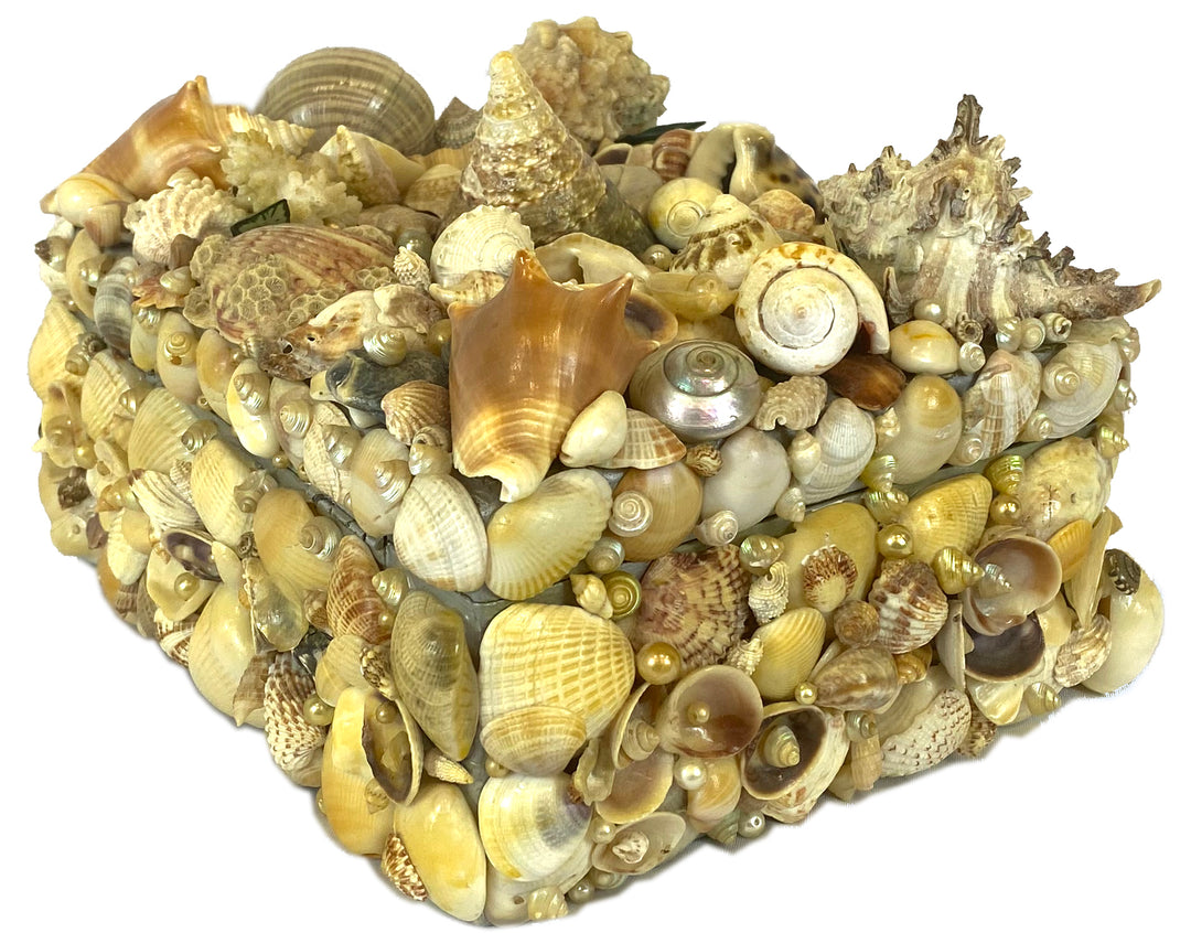 Vintage Seashell Box