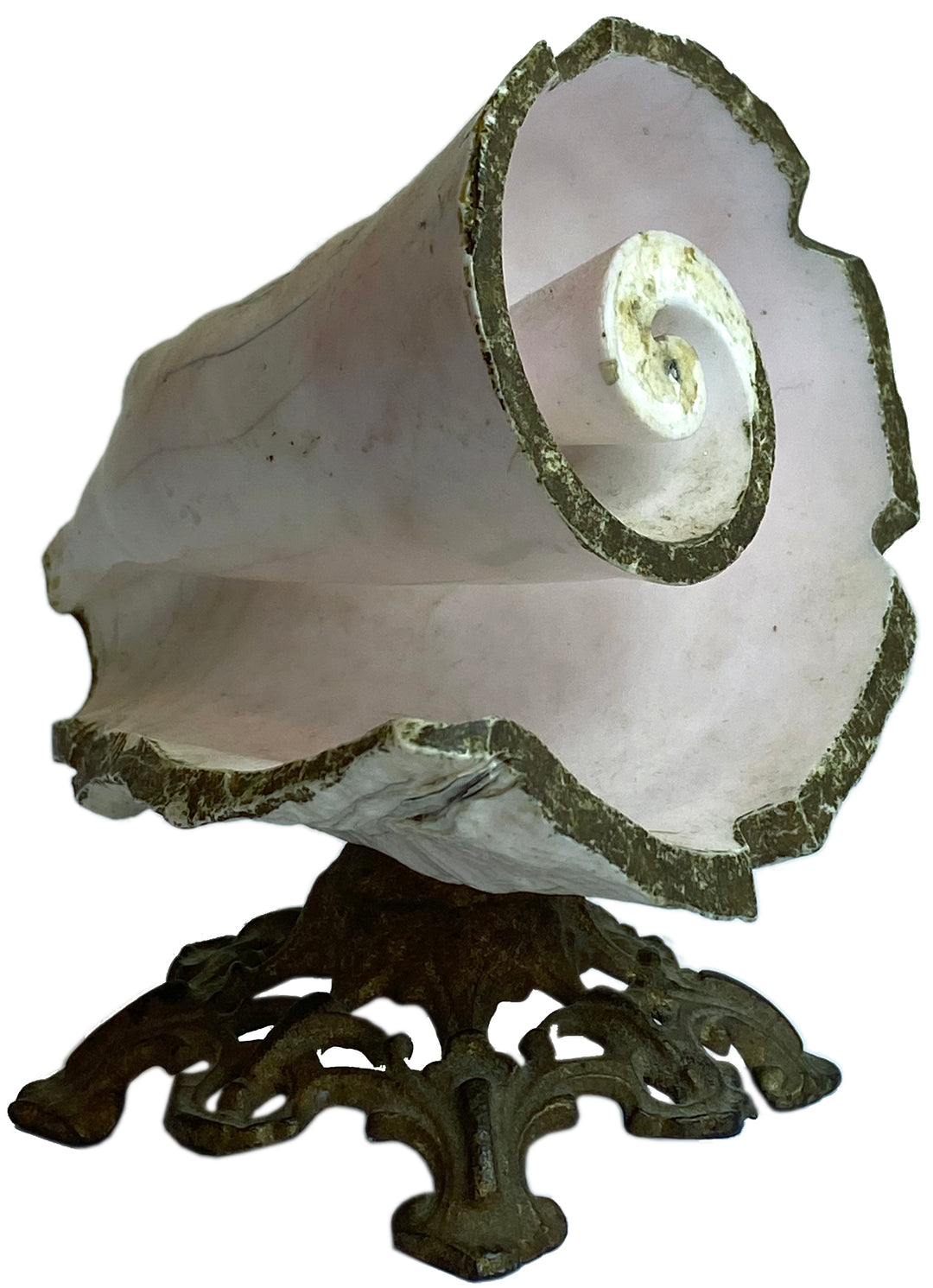 Vintage Shell on Stand