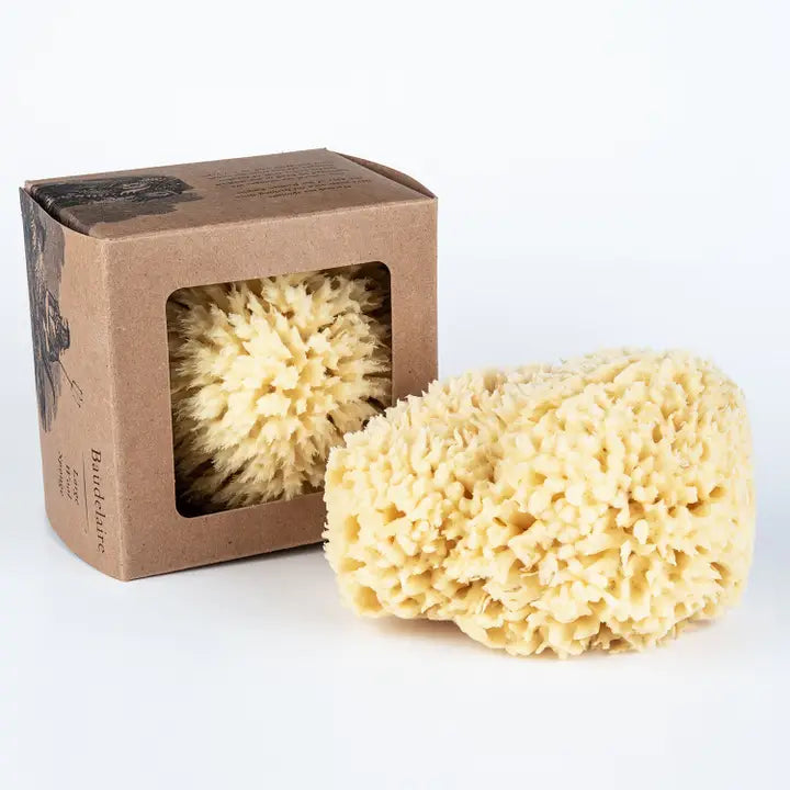 Bath Sea Sponge