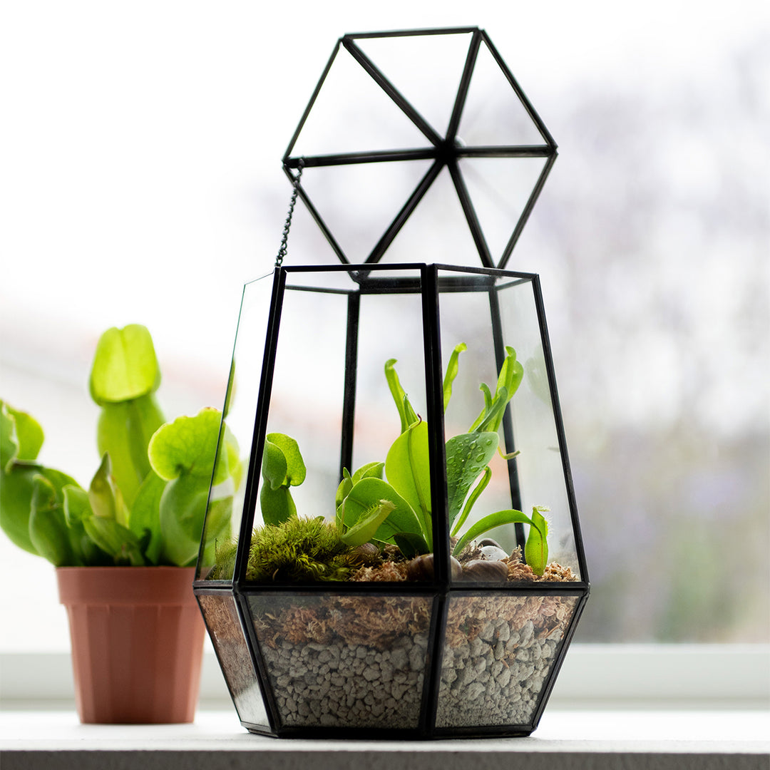 Glass Terrarium