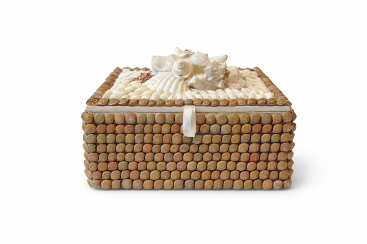 Wood & Pink Umbonium Shell Box
