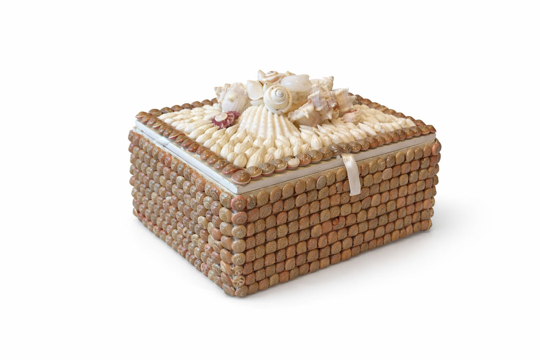 Wood & Pink Umbonium Shell Box