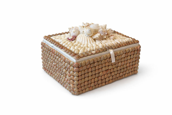 Wood & Pink Umbonium Shell Box