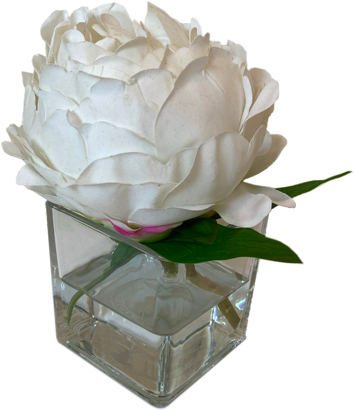 Peony in 3" Glass Vase – Pink or White