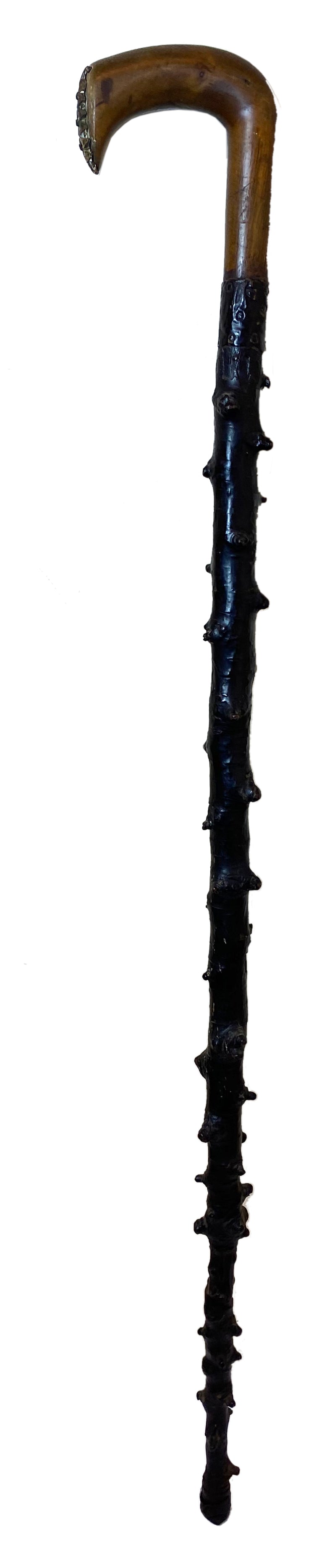 Irish Blackthorn Walking Stick