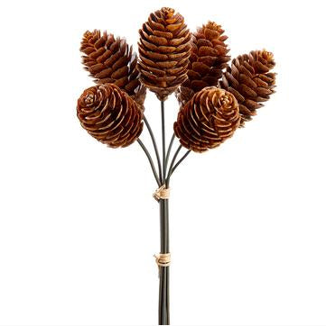 Pinecone Bundle