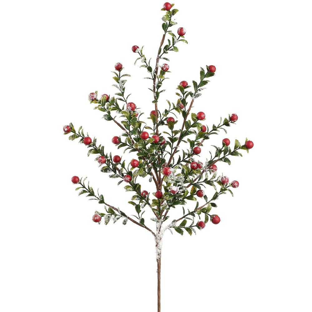 Snowed Berry Spray