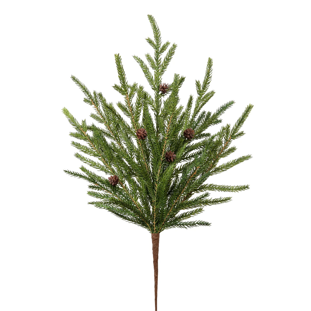 Norfolk Pine Pick