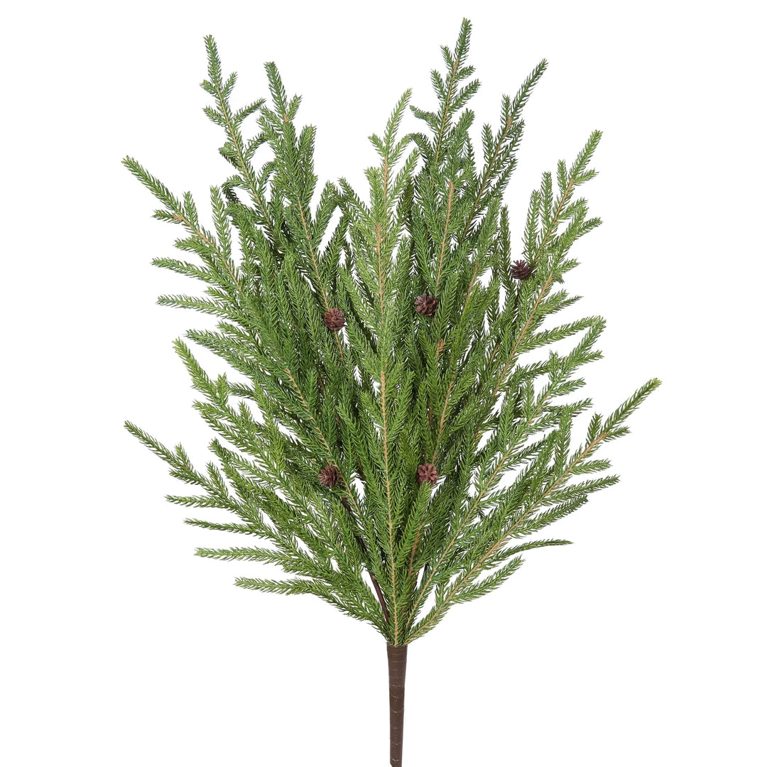 Norfolk Pine & Pine Cone Pick