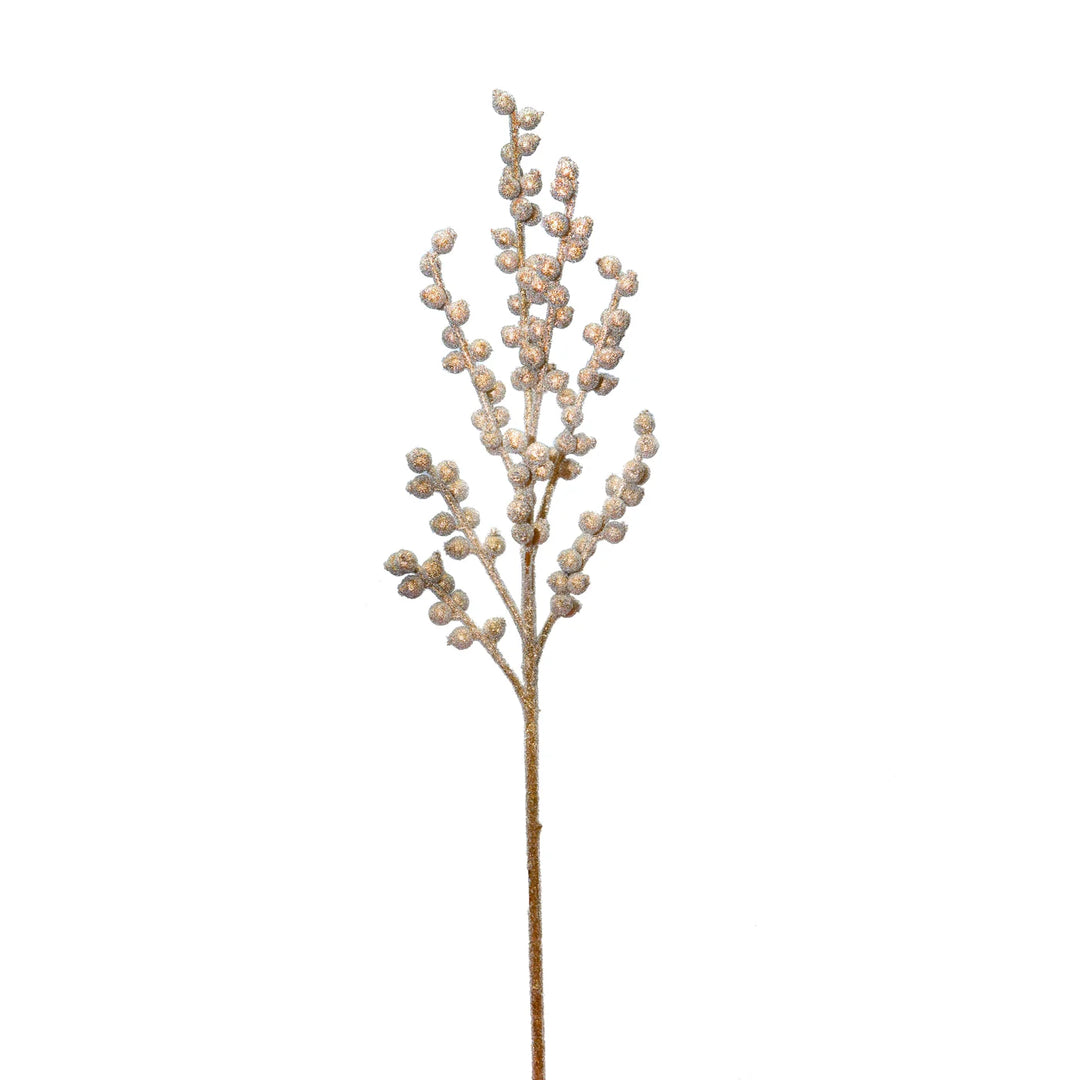 Sugar Berry Stem