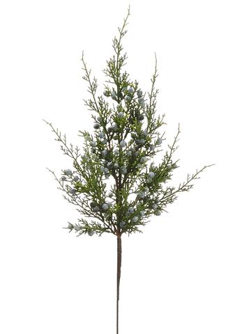 Juniper Spray with Berries